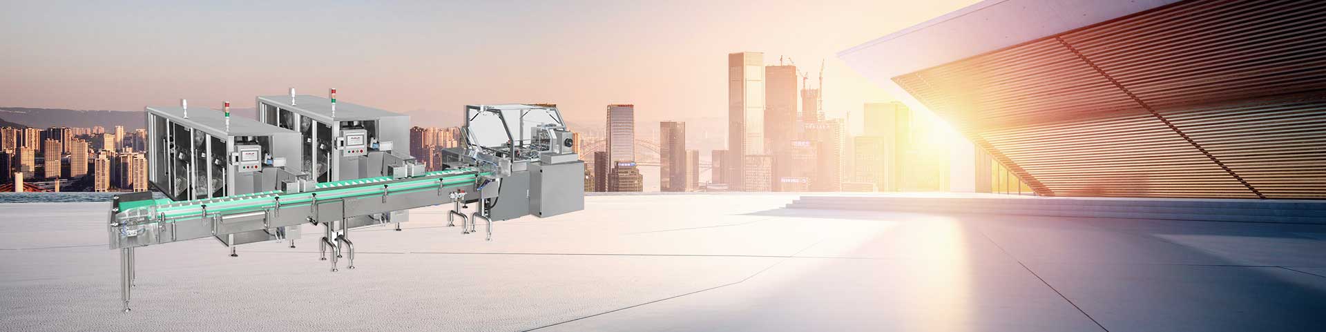 Intermittent horizontal cartoning machine